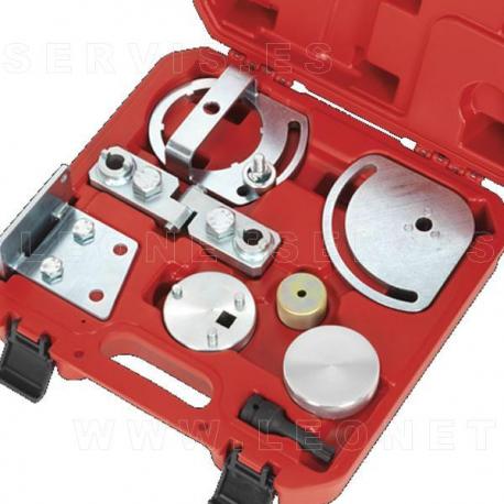 Conjunto reglaje gasolina (Volvo y Land Rover)