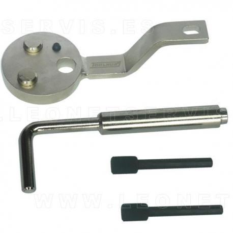 Conjunto reglaje Diesel Ford 2.2 TDCi