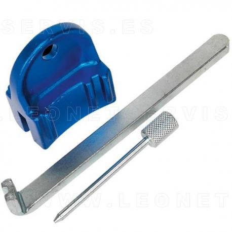 Reglaje para gasolina Opel, Chevrolet y Saab 1.4, 4.6 y 1.8 ECOTEC