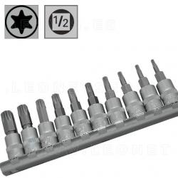 Juego de 10 puntas cortas Torx en vaso de 1/4