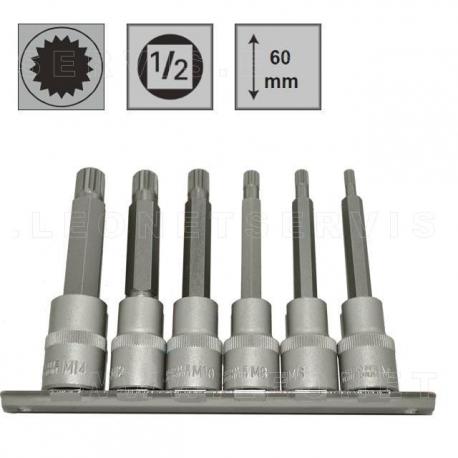 Juego de 8 puntas cortas XZN SPline en vaso de 1/2 y de 1/4