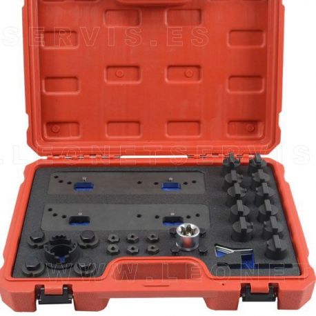 KIT de calado para Porsche y Audi (VAG) 3.0 FSi / TFSi / RS de gasolina