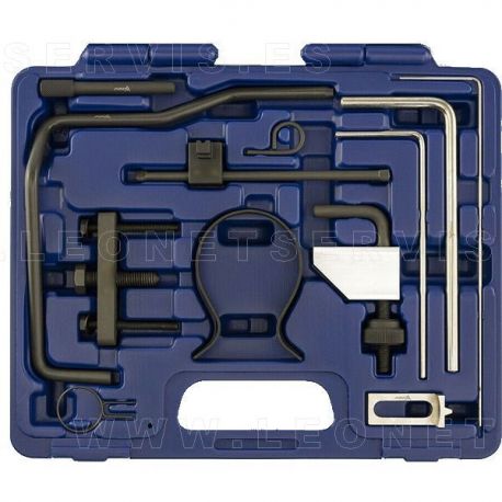 Conjunto de reglaje diésel Peugeot, Citroen y Fiat DW10- DW12