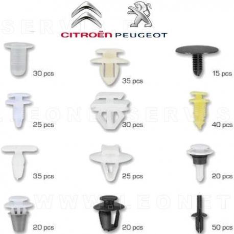 Set de fijaciones para Citroën y Peugeot | 345 clips y grapas