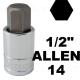 Vasos 1/2" con punta allen 14