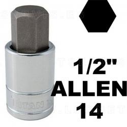 Vasos 1/2" con punta allen 14