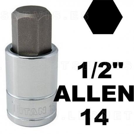 Vasos 1/2" con punta allen 14